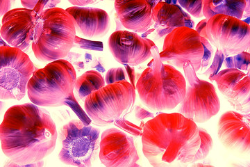 Creative fashion concept with flying neon red garlic on white background. Levity vegetables.