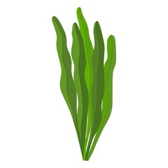 Spirulina algae vector icon on white background.
