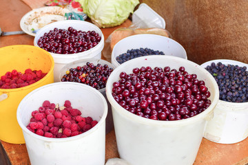 Harvest of different berries in white buckets raspberry shadberry cherry