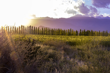 Fototapeta na wymiar Sunset at The Andes