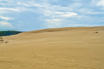 Dunes of Leba in the desert of Slowinski National Park, Poland