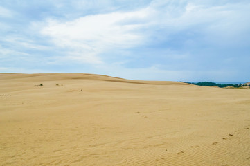 Fototapeta na wymiar Dunes of Leba in the desert of Slowinski National Park, Poland