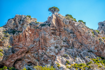 Wilde Serra de Tramuntana auf Mallorca
