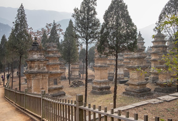 Fototapeta na wymiar Talin Pagodas, It’s memorial of the high priest of Shaolin temple.
