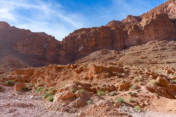 Landscape at Todra Gorge in Morocco
