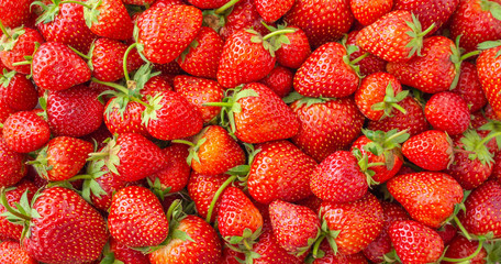 Fresh organic Strawberry fruit background Top view closeup
