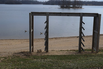 pre summer ducks cr2019darrelljbanks