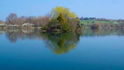 Fototapeta na wymiar Reflection of tree in lake