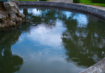 Rain drops in country garden lake