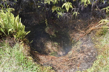 Sulfur fields in Hawaii Gas generated by the volcano breaking through the ground appearing as steam