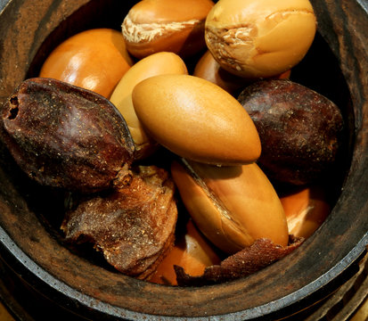 Bowl With Argan Seeds For The Production Of Beauty Cosmetics