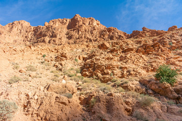 Fototapeta na wymiar Tall Cliff at Todra Gorge in Morocco