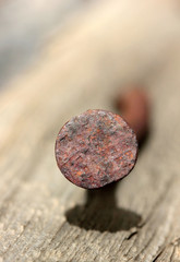 rusty nails and wood texture