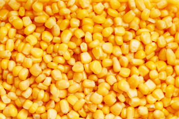 Golden canned corn, as distributed on a plane background and texture of popcorn. Before watching a movie top view. Close-up