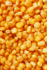 Golden canned corn, as distributed on a plane background and texture of popcorn. Before watching a movie top view. Close-up