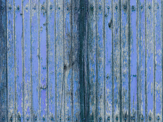 Lilac withered wooden wall with peeling paint v2