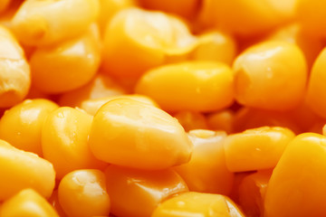Golden canned corn, as distributed on a plane background and texture of popcorn. Before watching a movie top view. Close-up