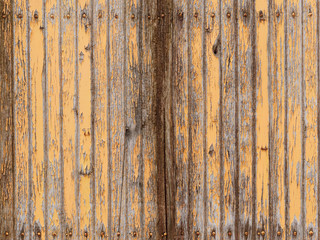 Orange withered wooden wall with peeling paint v2