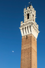 Fototapeta premium Siena's famous landmark tall bell tower on a solid blue sky