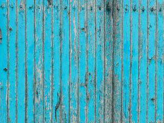 Fototapeta na wymiar Turquoise withered wooden wall with peeling paint v1