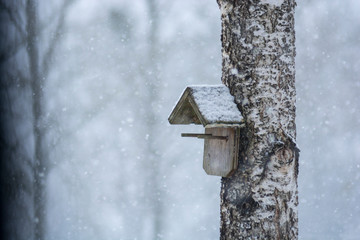 winter landscape of birdshouse in the snow