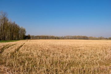 Landschaftsaufnahme Mitterkirchen im Machland in Oberösterreich / Österreich