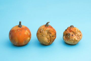 Ugly vegetables . three little pumpkins of varying degrees of corruption . light blue background.