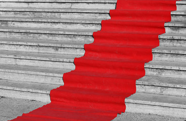 red carpet for the catwalk of celebrities