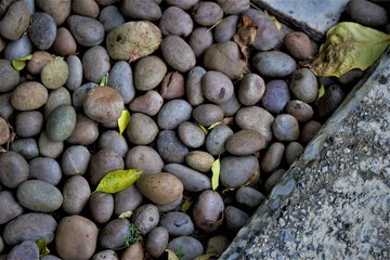 STONE CK