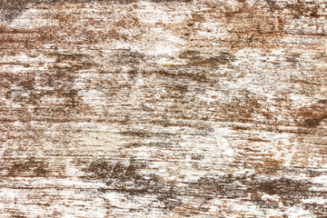 Brown wooden board texture. Weathered and dried natural pattern backdrop.