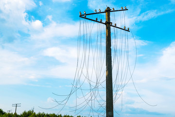 Old electric pole with cut wire on the background of a blue sky.