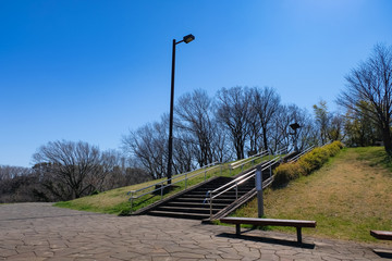 多摩市 都立桜ヶ丘公園 ゆうひの丘