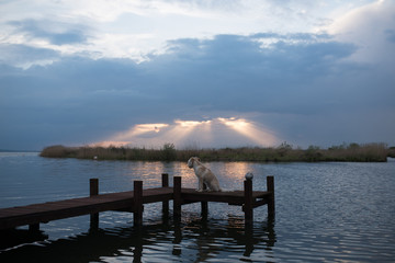 Obraz premium Sonnenuntergang am Naturpark Steinhuder Meer