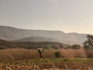 Die wunderschöne und atemberaubende Landschaft von Jalisco in Mexiko