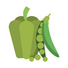 Fresh vegetables food