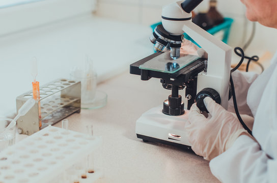 A doctor in a medical laboratory checking blood samples with a microscope. Concept of medical equipment and blood test.