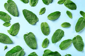 Mint leafs on blue background