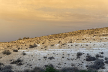 The desert on a sandy day
