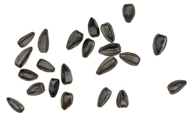 Sunflower seeds isolated on white background, top view