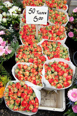 Amsterdam Flower Market Tulips