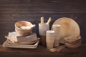 Eco friendly disposable tableware