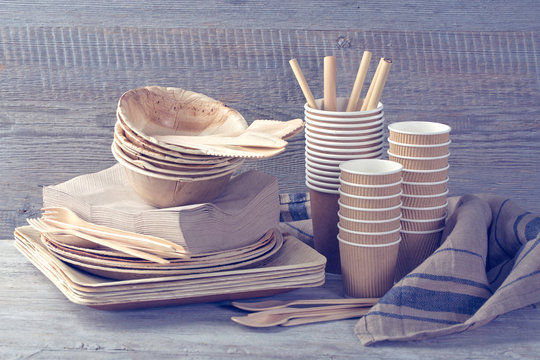 Eco Friendly Disposable Tableware