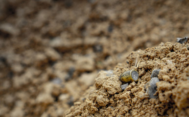 A shot bullet in dirt