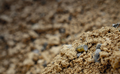 A shot bullet in dirt