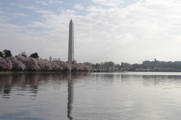 Washington Monument from Tidal Basin 3