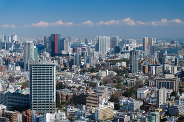 Fototapeta na wymiar 恵比寿ガーデンプレイスタワー 展望台からの景色（東方向）