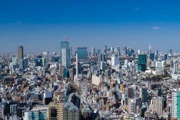 恵比寿ガーデンプレイスタワー 展望台からの景色（渋谷・新宿方面）
