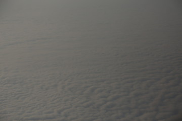Cloud Fields
