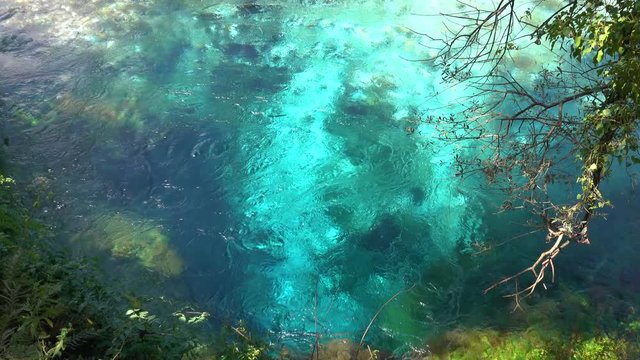Fresh turquoise colored water bubbles out of the well and fills up the river. Breathtaking shot of the colorful spring in the tranquil Albanian national park. Stunning tourist attraction in Europe.