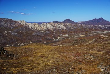 Fototapeta premium Beautiful landscape in national park Denali in Alaska